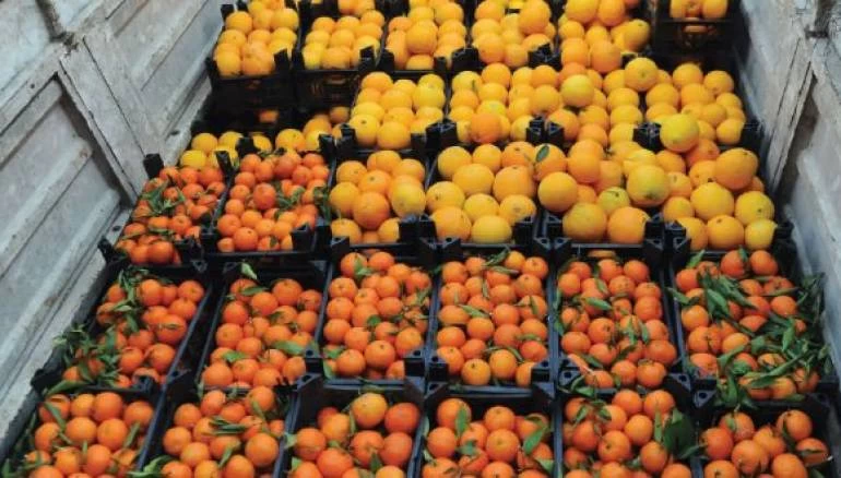 انخفاض إنتاج الموسم